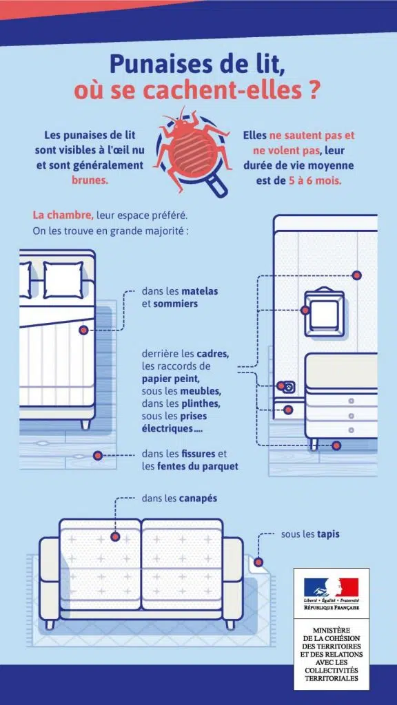 Où se cachents les punaises de lit ?